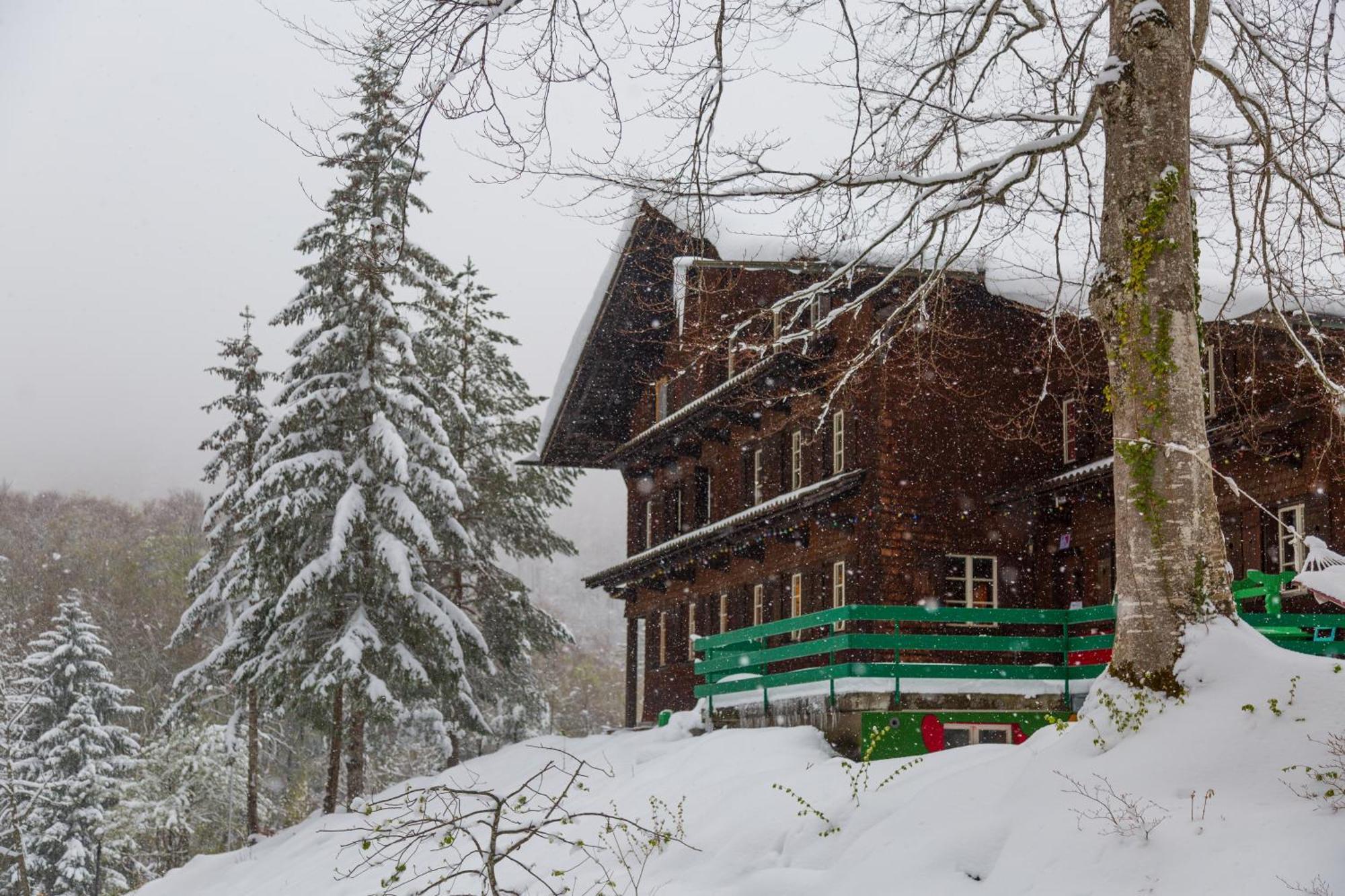 Kunst- Und Naturfreundehaus Bruenig Lungern Eksteriør bilde