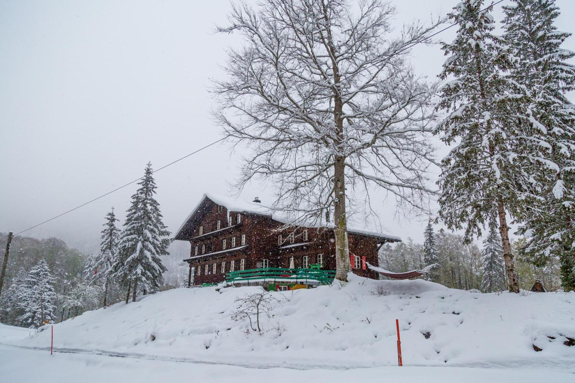 Kunst- Und Naturfreundehaus Bruenig Lungern Eksteriør bilde